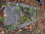 image of grave number 806889